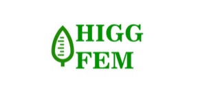 Higg FEM